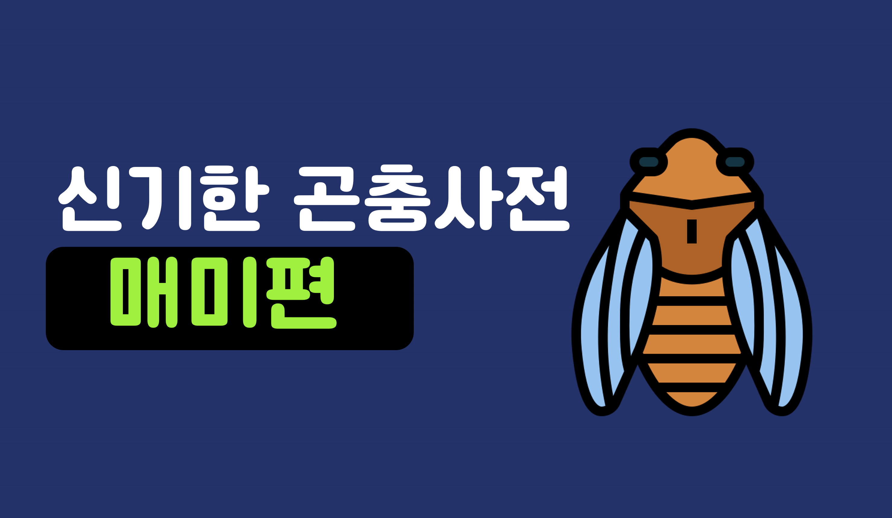 신기한 곤충 세상 | 매미 | 아이스크림 홈런