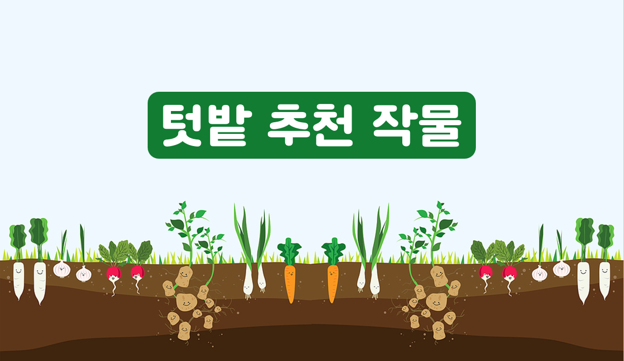 텃밭 추천 작물 | 아이스크림 홈런