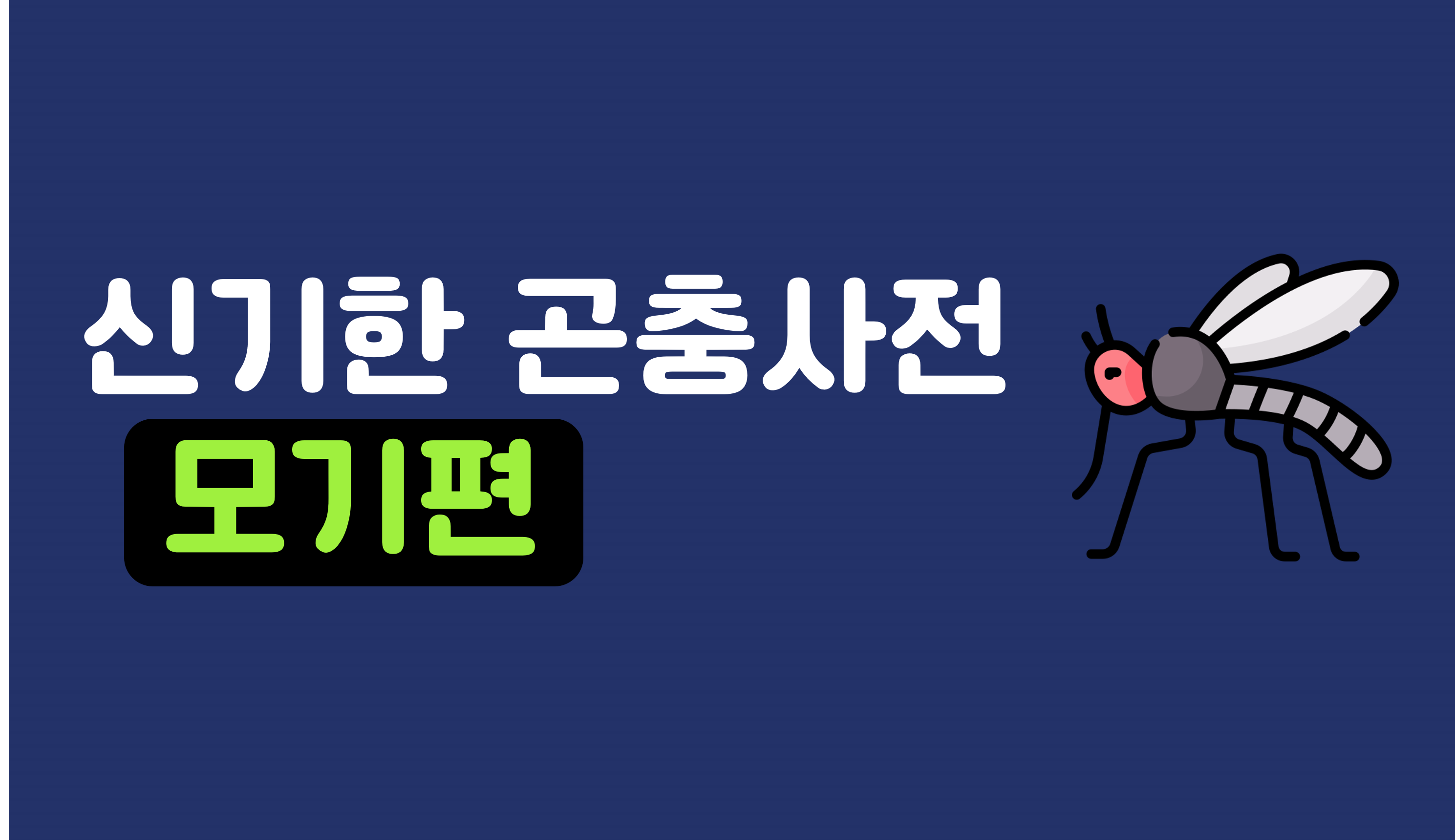 신기한 곤충 세상 | 모기 | 아이스크림 홈런